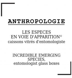 Anthropologie Elia Pagliarino